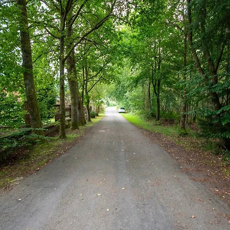 Stunning In Recht, Cleaning Included (adults Only) * Recht
